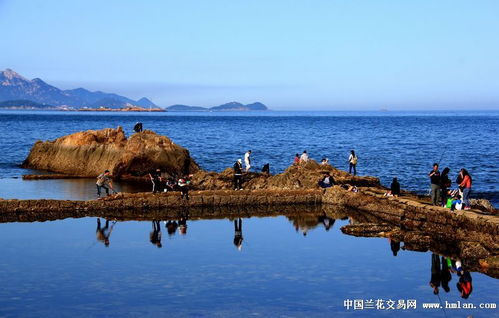 碧海蓝天 心灵的永恒回响