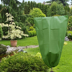 花瓣与碧海蓝天 自然的诗篇