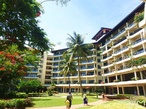 邂逅心中的碧海蓝天 爱上沙巴，醉在斯里巴加湾